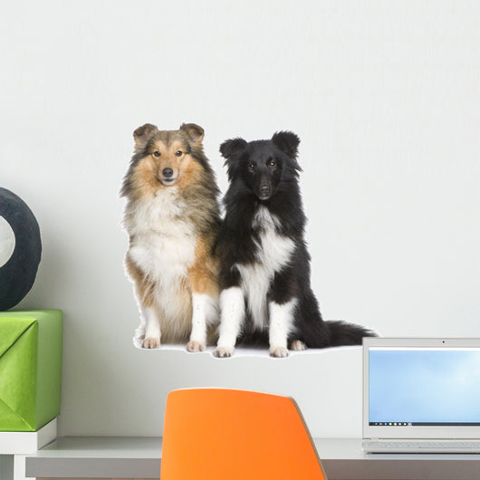 Couple of Shelties Wall Decal