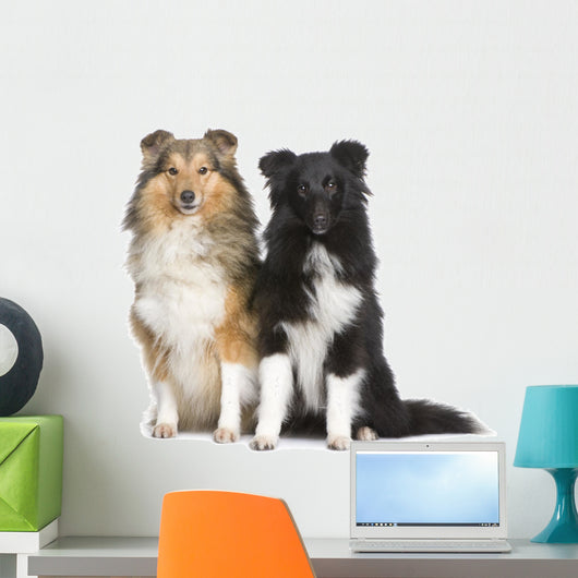 Couple of Shelties Wall Decal