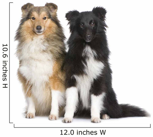 Couple of Shelties Wall Decal