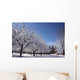 Winter Wonderland Wall Decal Design 2