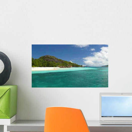 Definition Color Wall Decal