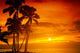 Tropical sunset Wall Mural