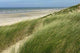 Dunes Wall Decal Design 1