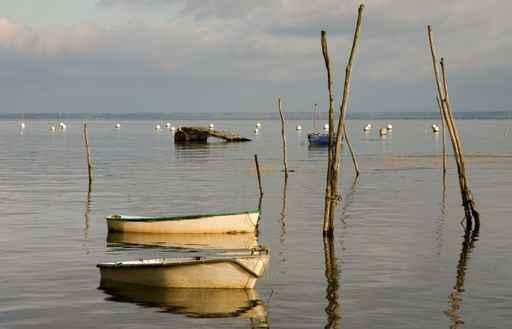 Boats Bay Arcachon Wall Decal