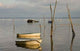 Boats Bay Arcachon Wall Decal