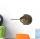 Hourseshoe crab Wall Decal