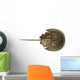 Hourseshoe crab Wall Decal