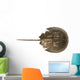 Hourseshoe crab Wall Decal