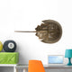 Hourseshoe crab Wall Decal
