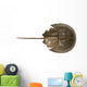 Hourseshoe crab Wall Decal