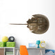Hourseshoe crab Wall Decal