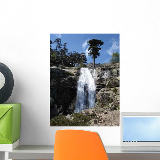 Cascade Radule Wall Decal