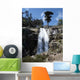 Cascade Radule Wall Decal
