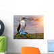 Blue footed booby at Galapagos Wall Mural