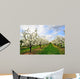 Blossoming Cherry-Trees Wall Mural