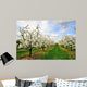 Blossoming Cherry-Trees Wall Mural