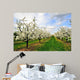 Blossoming Cherry-Trees Wall Mural