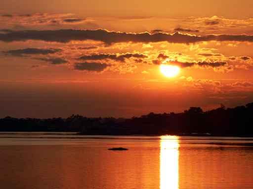 Sunset Amazon Wall Decal