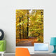 Autumn Forest Wall Decal Design 2