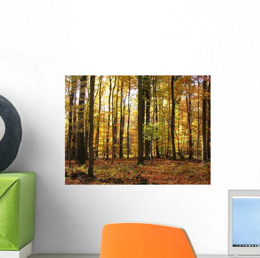 Autumn Forest Wall Decal Design 1