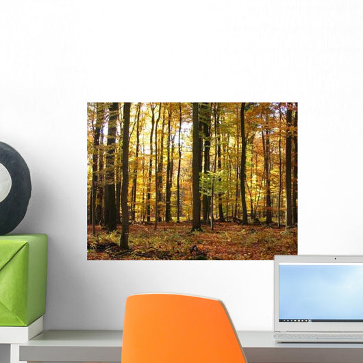 Autumn Forest Wall Decal Design 1
