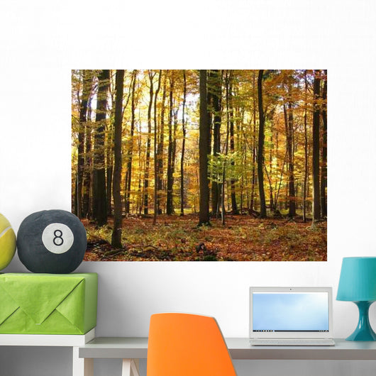 Autumn Forest Wall Decal Design 1
