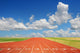 Running Track With Clouds Wall Mural