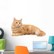 Long-Haired Orange Cat on a White Background Wall Decal