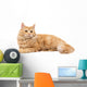 Long-Haired Orange Cat on a White Background Wall Decal