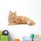 Long-Haired Orange Cat on a White Background Wall Decal