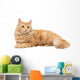 Long-Haired Orange Cat on a White Background Wall Decal
