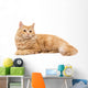 Long-Haired Orange Cat on a White Background Wall Decal