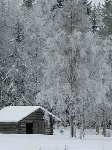 Hut Wall Decal