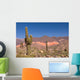Pasacana Cactus Trichocereus Pasacana in Northern Argentina Wall Mural