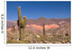 Pasacana Cactus Trichocereus Pasacana in Northern Argentina Wall Mural