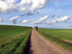 Straight to Sky Wall Mural