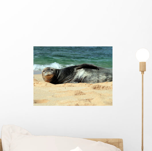 Monk Seal Wall Mural