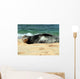 Monk Seal Wall Mural
