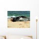 Monk Seal Wall Mural