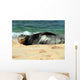 Monk Seal Wall Mural