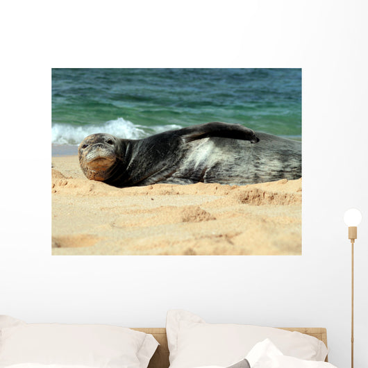 Monk Seal Wall Mural