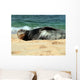 Monk Seal Wall Mural