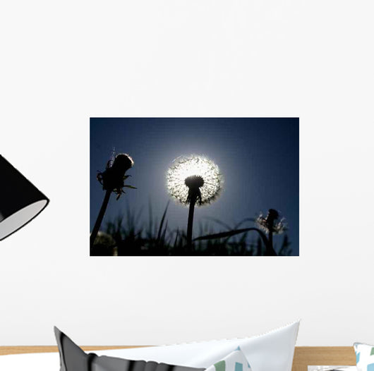 Sunset 0002 Wall Decal