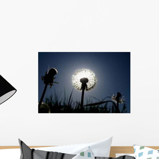 Sunset 0002 Wall Decal
