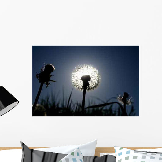 Sunset 0002 Wall Decal