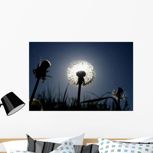 Sunset 0002 Wall Decal