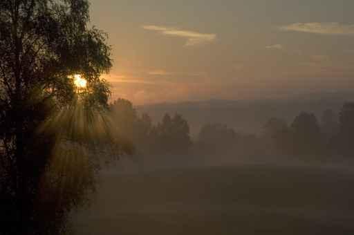 Dawn Countryside Wall Decal