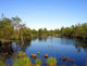 Moorland 3 Wall Decal