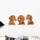 Three Dachshund Puppies Wall Decal