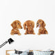 Three Dachshund Puppies Wall Decal